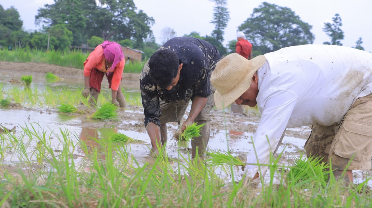 नेकपाको नेता देखि कार्यकर्ता देशभर उत्पादन अभियानमा सक्रिय