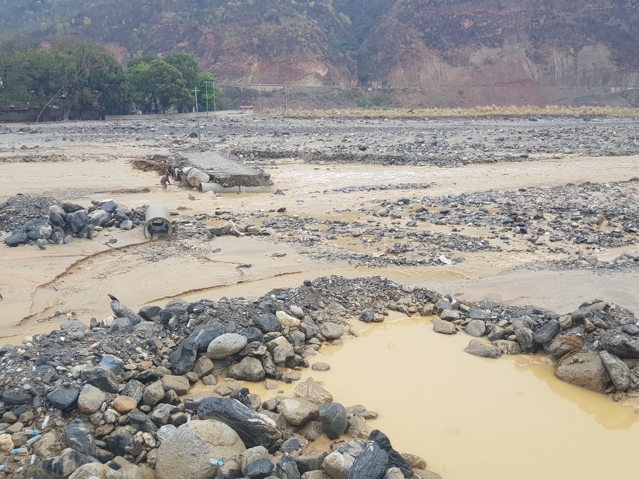 रोशी खोलाको बाढीले बगाएर एक जनाको मृत्यु, बिपी राजमार्ग अवरुद्ध