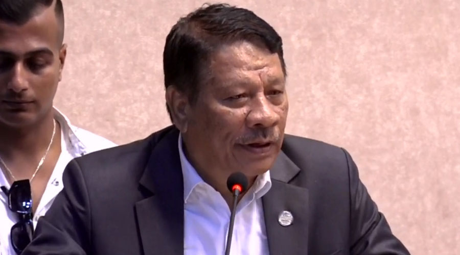 कार्यवाहक प्रधानमन्त्रीको जिम्मेवारी सिंहलाई