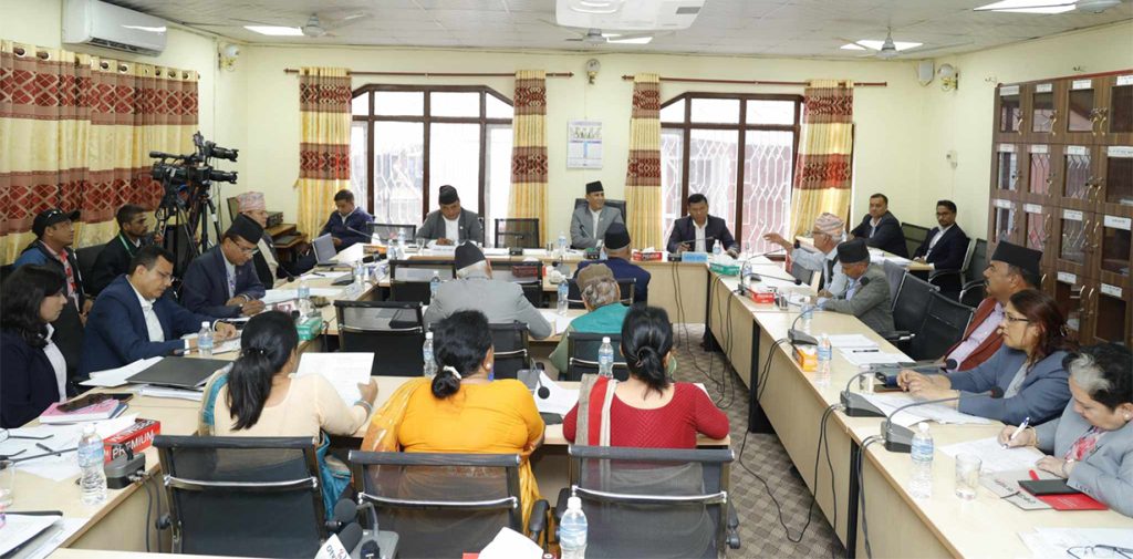 नागरिकता विधेयकमाथि दफावार छलफल सुरु