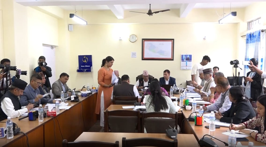 सामुदायिक र निजी विद्यालयको ईसीडीमा २ वर्षको रहने सहमति