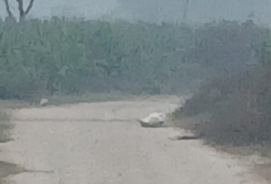 चन्द्रनिगाहपुरमा शंकास्पद वस्तु फेला, सेनाको टोली परिचालन