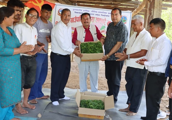 ‘ जनतासँग मिलेर उत्पादन गरी देशलाई समृद्धिको दिशामा लैजानेछौं’: विप्लव