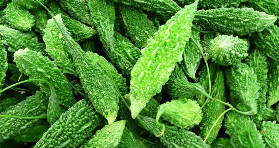 चितवनबाट ल्याइएको तिते करेलामा भेटियो विषादी