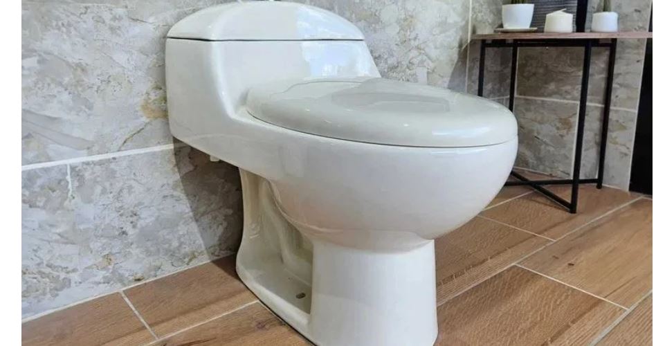 १५ मिनेटभन्दा बढी ट्वाइलेटमा बस्दा निम्तन्छ गम्भीर रोग